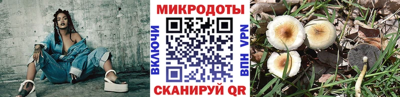 как найти закладки  Юхнов  Псилоцибиновые грибы Psilocybe 
